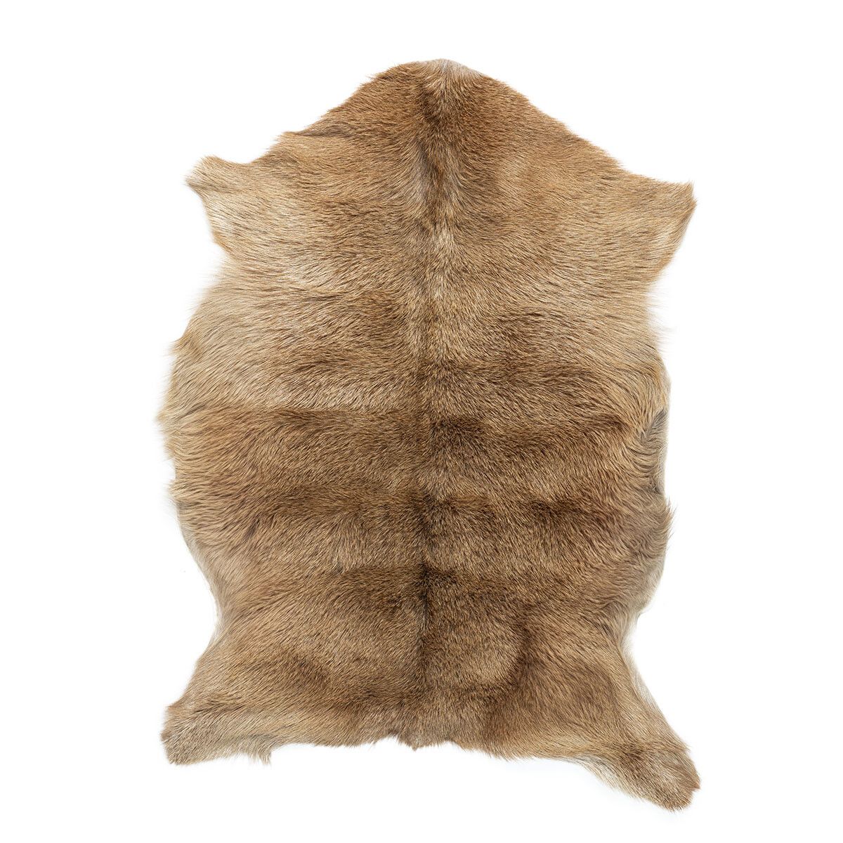 Getskinn | Tibet | 90x60 cm Naturligt ljus
