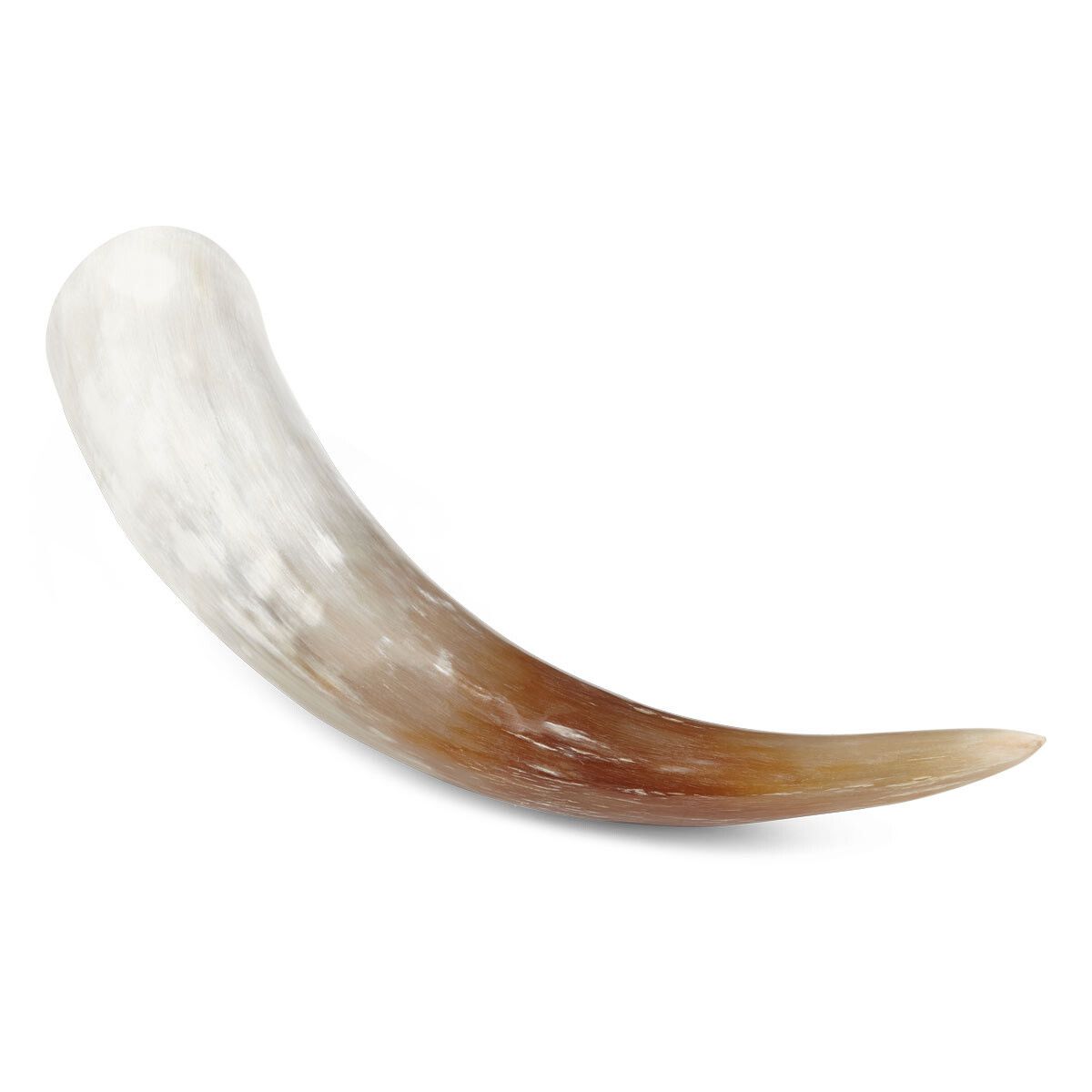 Ko Watusi Horn