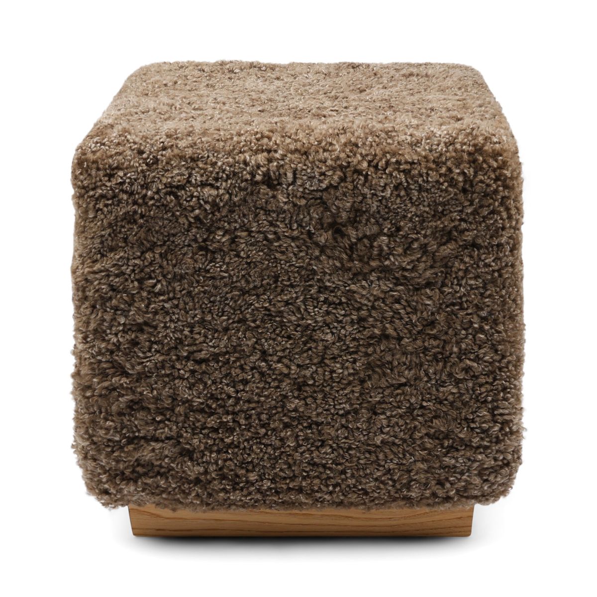 Benjamin pall Ljusbrun