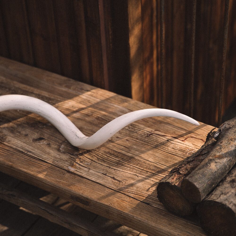 Kudu Innerben Horn Naturligt