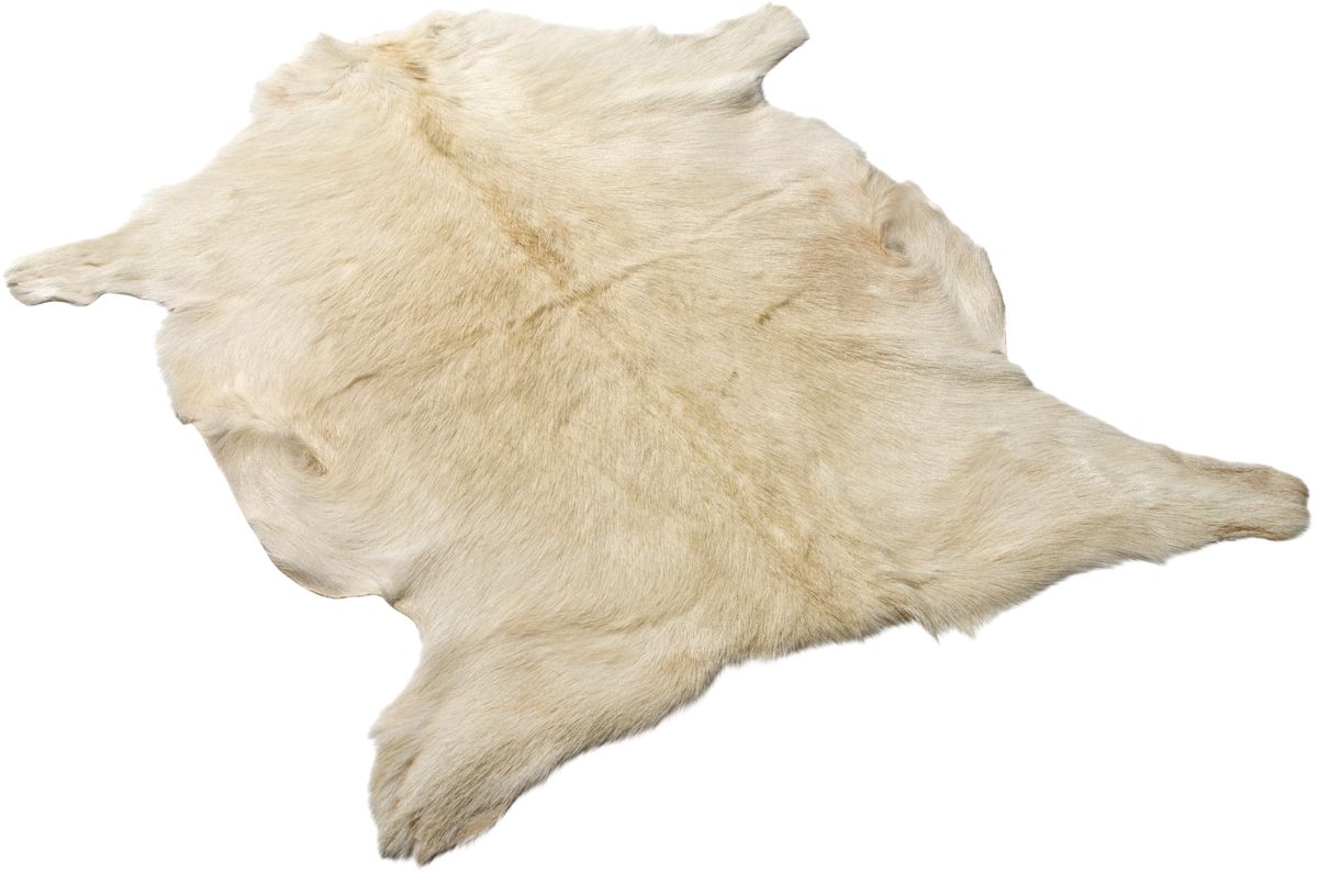 Getskinn | Tibet | 90x60 cm Vit