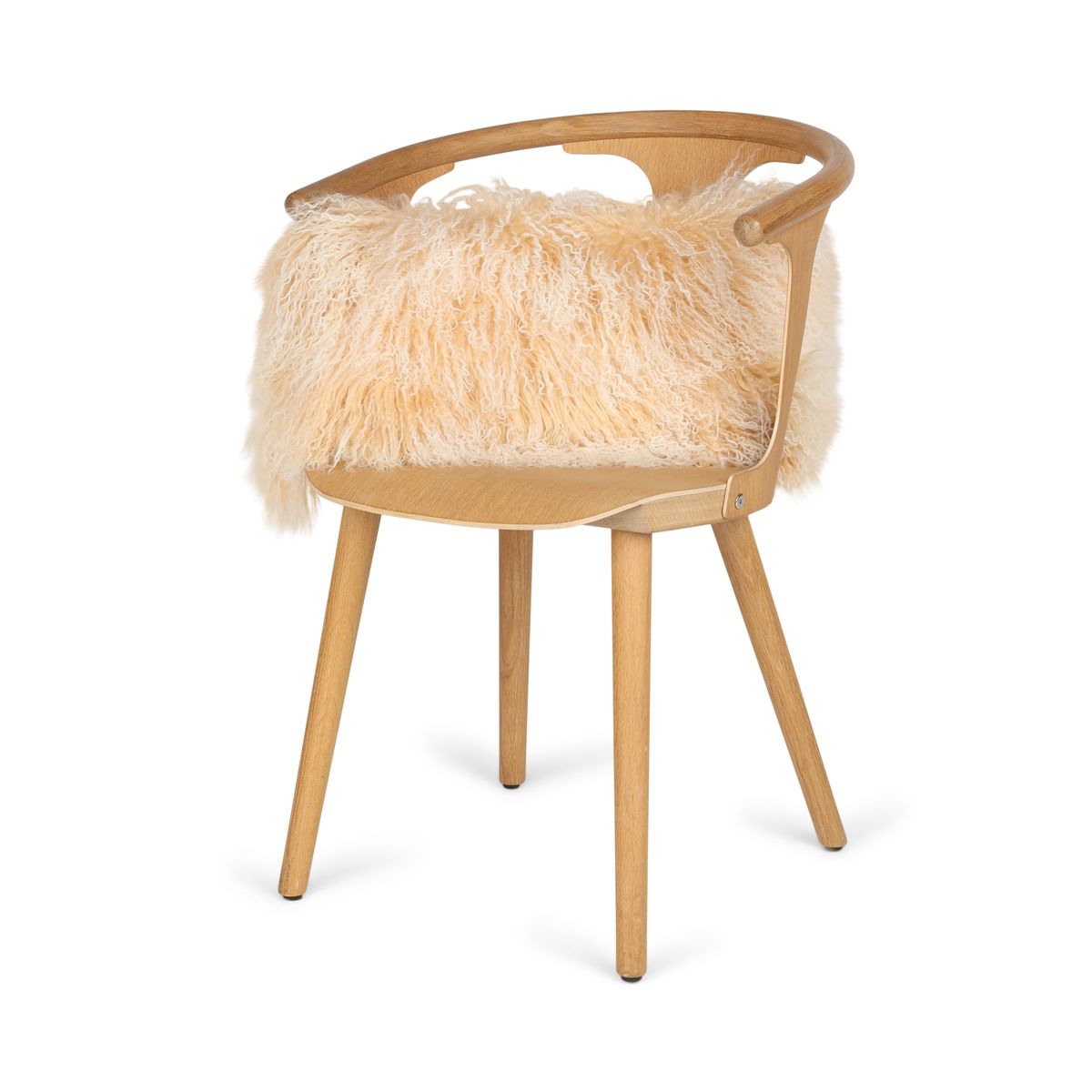 Fårskinnskudde | Lockig | Tibet | 28x56 cm Gyllene Vit