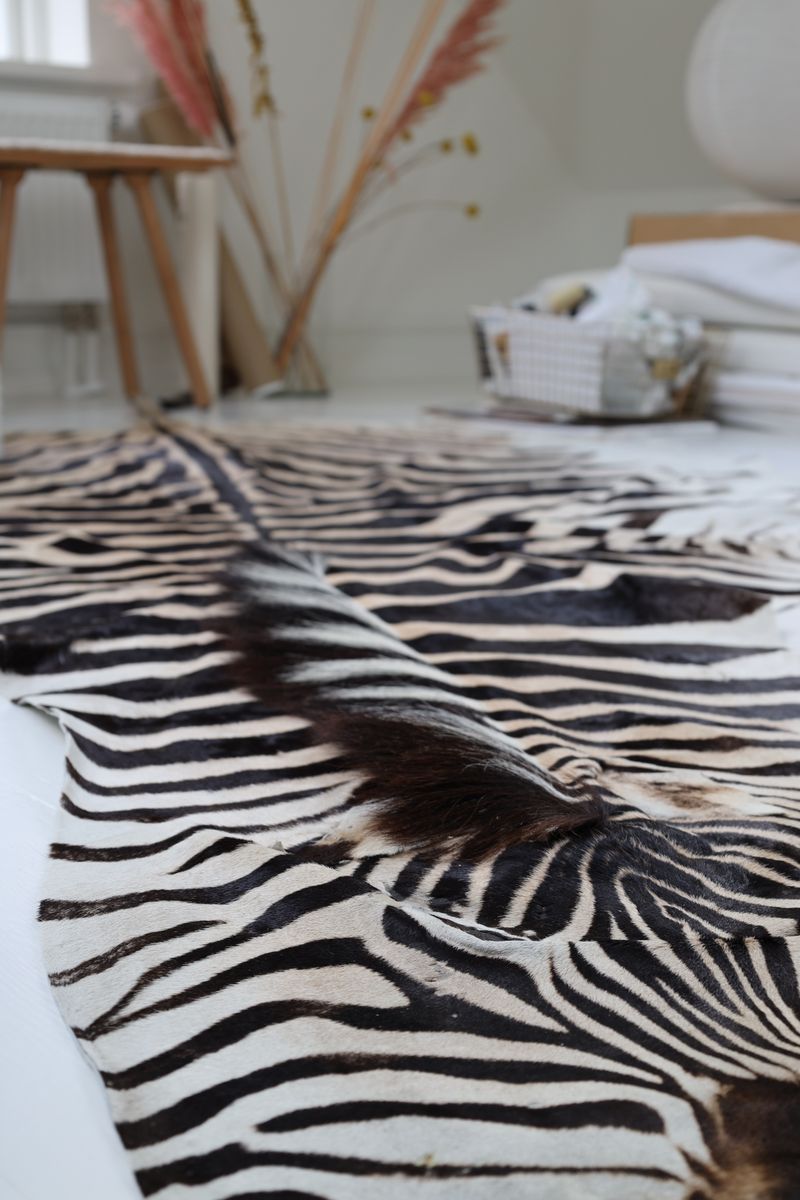 Zebraskinn | Sydafrika Zebra