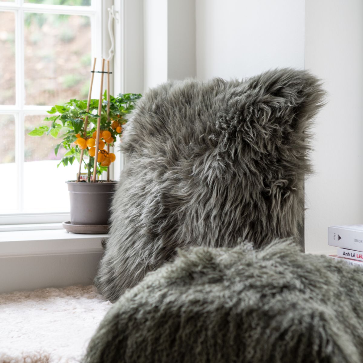 Fårskinnskudde | Lång lugg | Nya Zeeland | 50x50 cm Lila