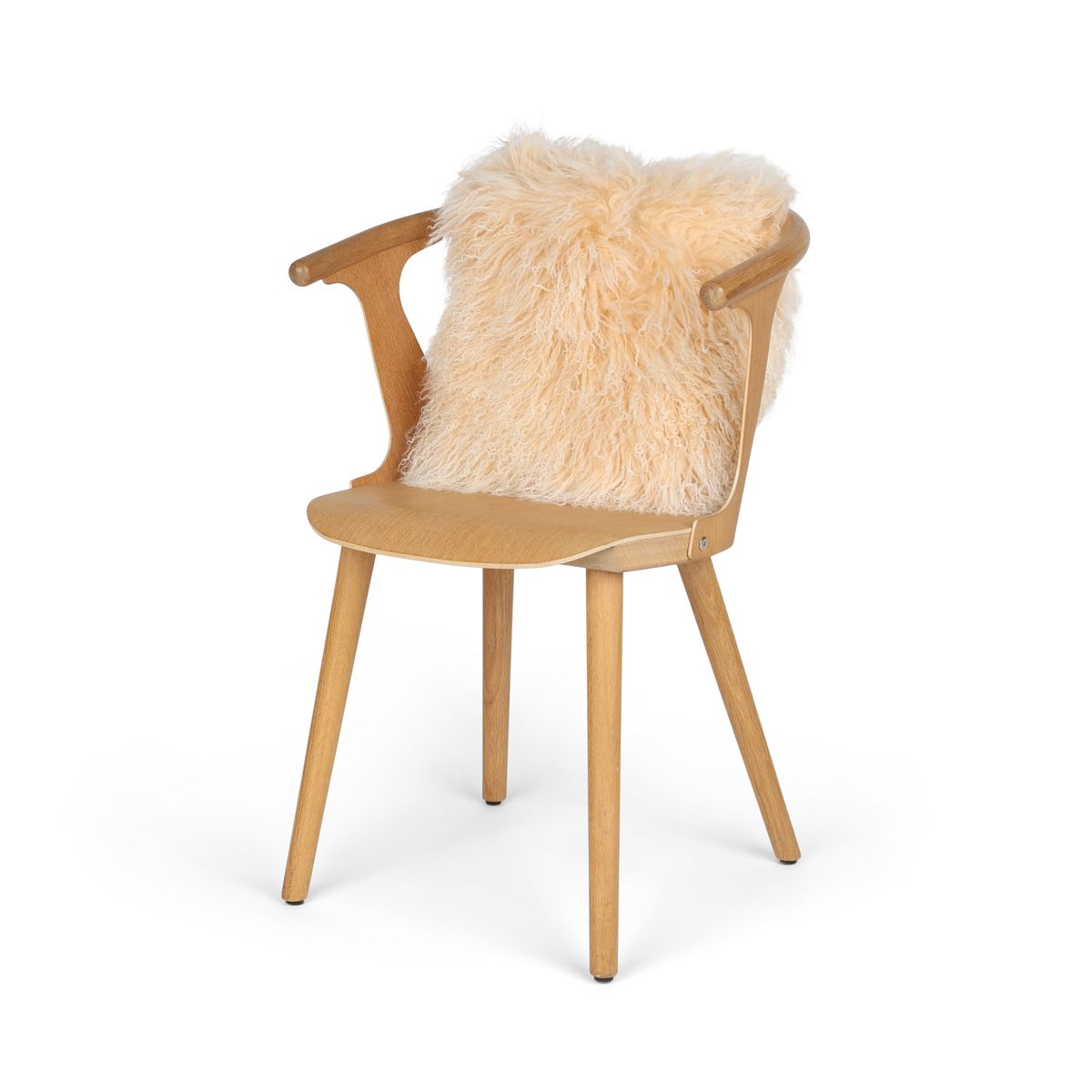 Fårskinnskudde | Lockig | Tibet | 40x40 cm Gyllene Vit