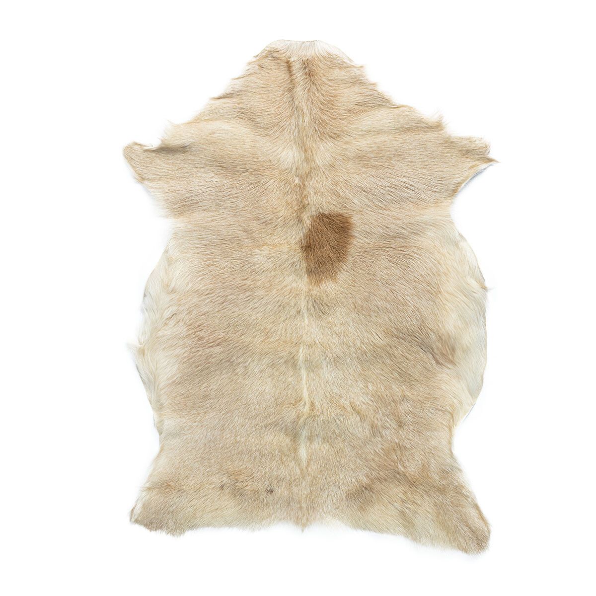 Getskinn | Tibet | 90x60 cm Naturligt ljus
