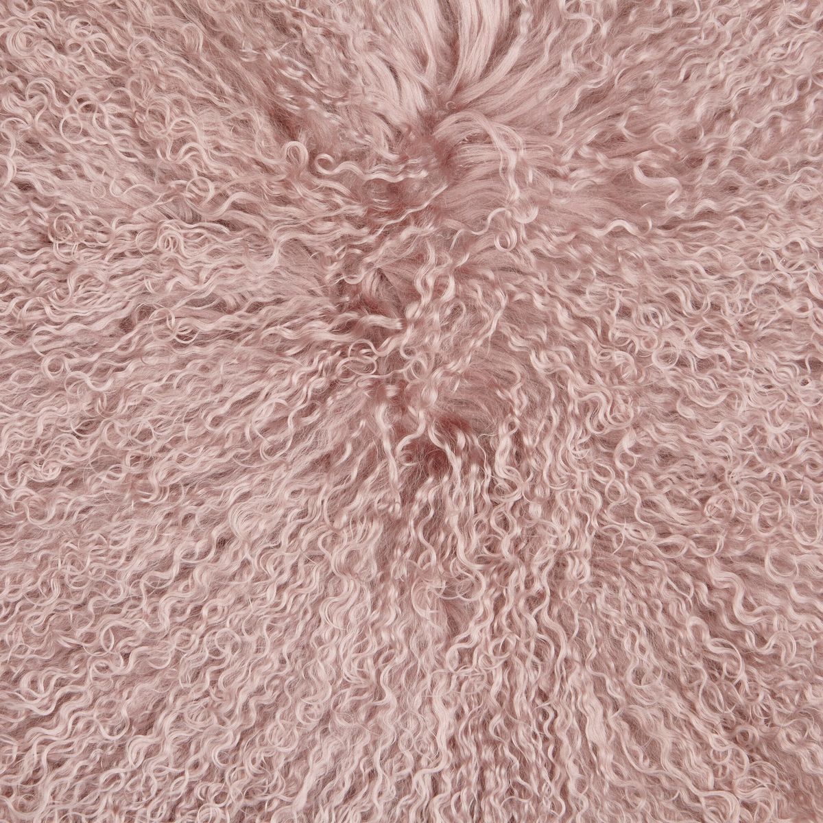 Gungstolsstoldyna | Tibet Rosa