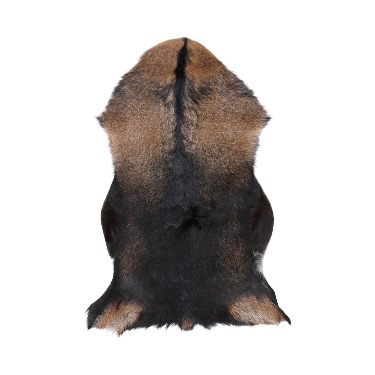 Getskinn | Tibet | 90x60 cm Svart / Brun