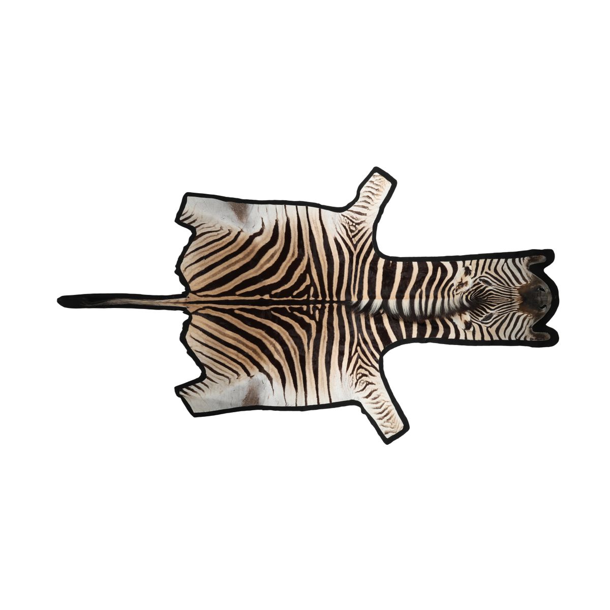 Zebraskinn | Premiumkvalitet | Sydafrika | Filt baksida