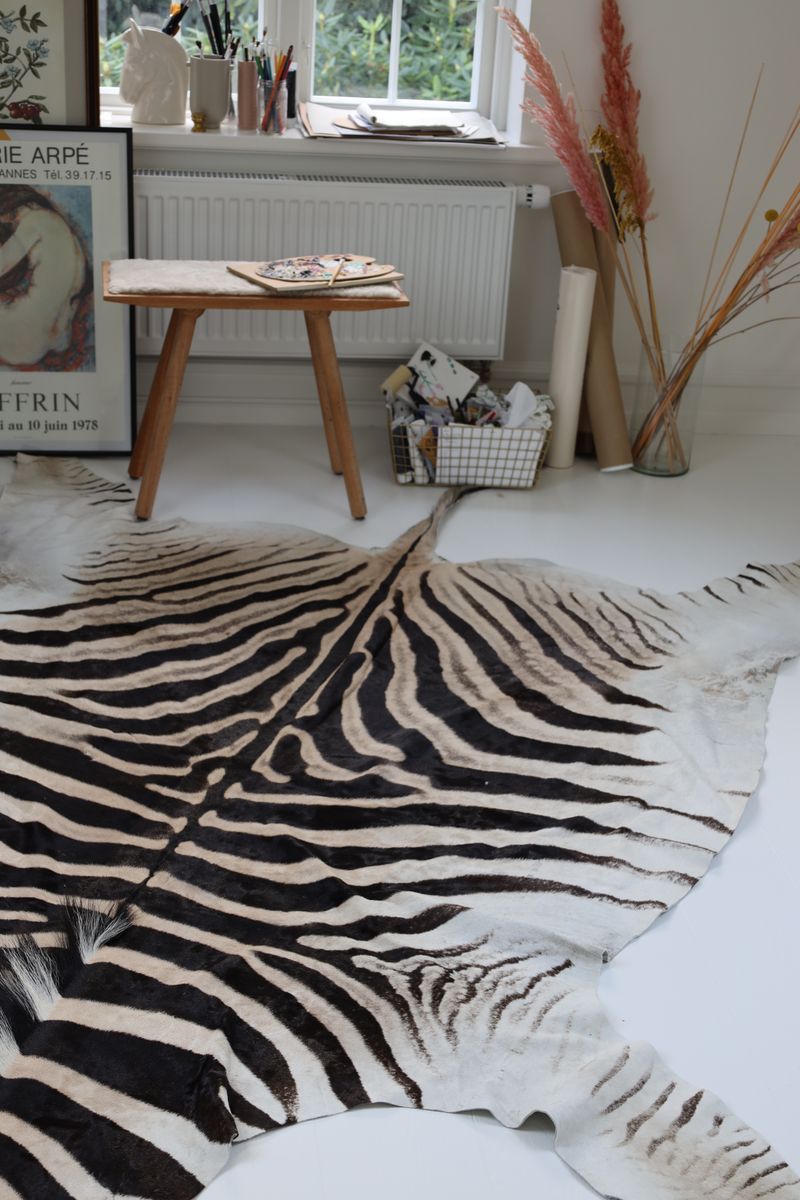 Zebraskinn | Sydafrika  Zebra